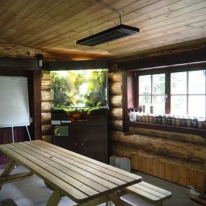 View in the Zie-Zoo College, 2022-05-17