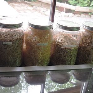 Jars with feedstuffs and other materials used at zoos, 2022-05-17