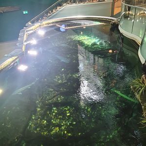 Museum Niederösterreich