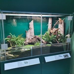 Museum Niederösterreich