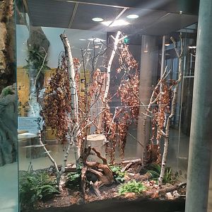 Museum Niederösterreich