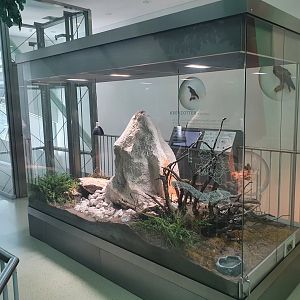 Museum Niederösterreich