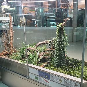 Museum Niederösterreich