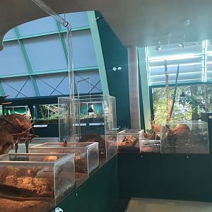 Museum Niederösterreich