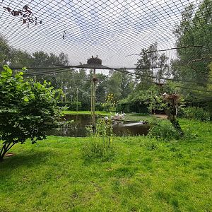 Asia aviary interior