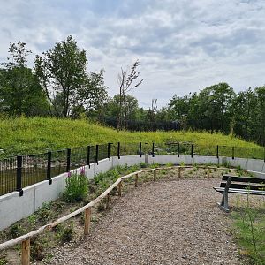 Second amur tiger enclosures