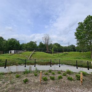 First amur tiger enclosure