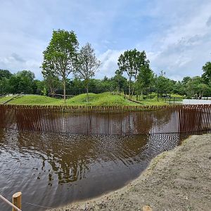 First amur tiger enclosure