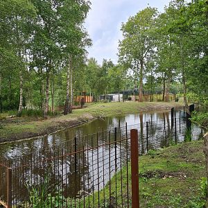 Père David's deer enclosure