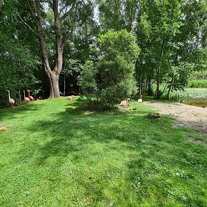 Hybrid flamingo enclosure