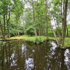 Chinese crane enclosure
