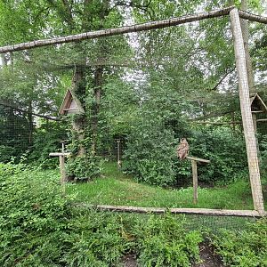 Eagle owl aviary