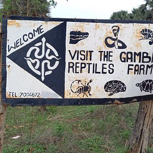 Road-sign to the entrance of the Gambian Reptiles Farm