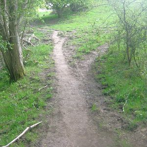 Sagnlandet Lejre - Nature trail