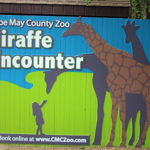 African Savanna - New Giraffe Encounters Sign
