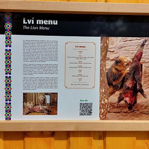 Lion diet education board