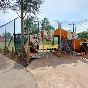 Lion exhibit reconstruction - Berber tent lookout