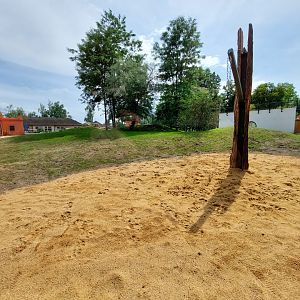 Lion exhibit reconstruction - view from Berber tent