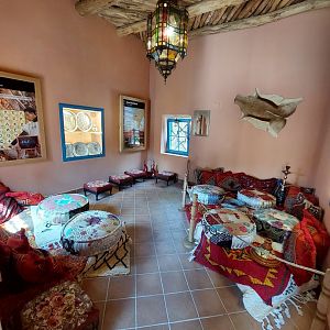 Lion exhibit reconstruction - Berber room