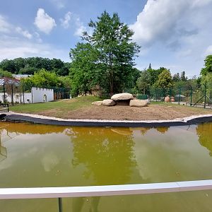 Lion exhibit reconstruction - Water moat view