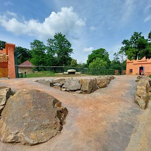 Lion exhibit reconstruction - central viewing platform