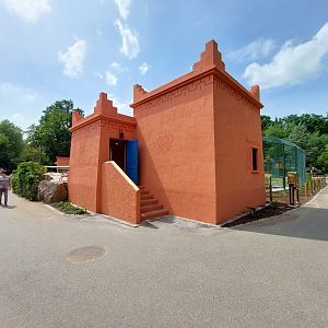 Lion exhibit reconstruction - architecture