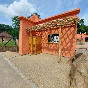 Lion exhibit reconstruction - architecture