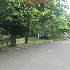 Chinese goral enclosure