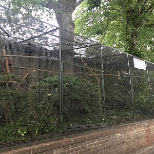 Millitary macaw aviary