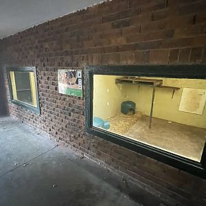 Coati and Mona Monkey Indoor Enclosures (Nasua nasua, Cercopithecus mona)