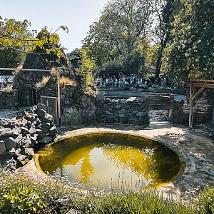 Sealion pool from the back