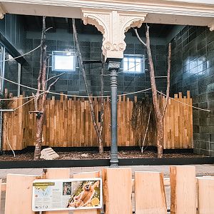 Temporary enclosure for Gibbons in the rhino house