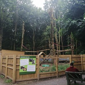 New Binturong Enclosure