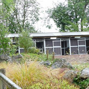 New zebra stables, June 2022