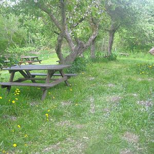 Sagnlandet Lejre - Smallholding area