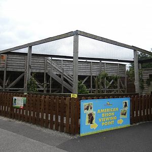 Southern ground hornbill enclosure