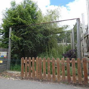 Secretary bird aviary