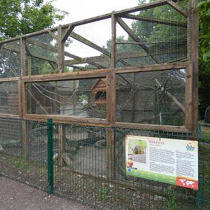 Rock hyrax enclosure
