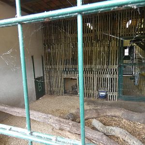 Puma indoor enclosure