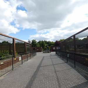 Bird of prey aviaries