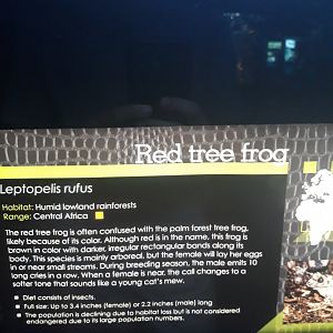 New Sign means New Animal