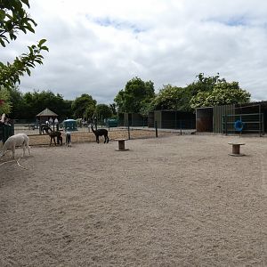 Alpaca enclosure