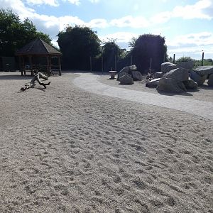 Pygmy goat walk-through