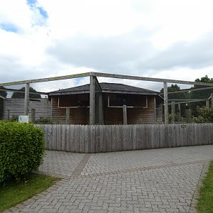 Bird of prey aviaries (3)
