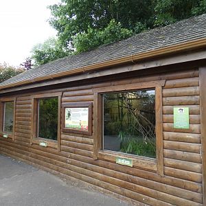 Red-handed tamarin house