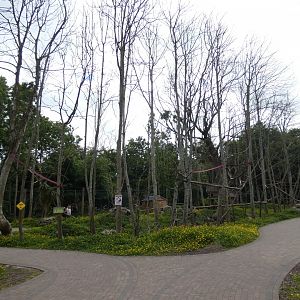Ring-tailed lemur walk-through enclosure