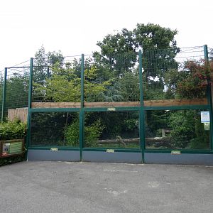 Amur leopard enclosure viewing area
