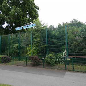 Amur leopard enclosure side-view