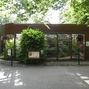 Squirrel monkey enclosure