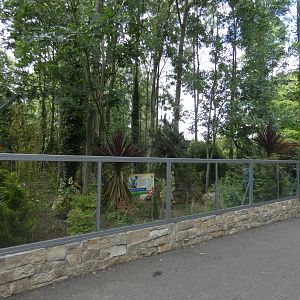 Corsac fox enclosure viewing area